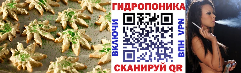 Canna-Cookies марихуана  Купить  Светлоград 