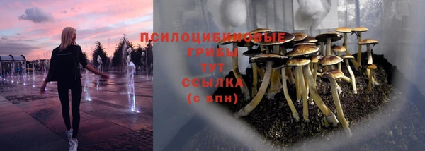 марки lsd Лагань