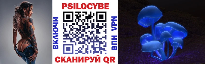 Купить закладки  Светлоград  Галлюциногенные грибы Psilocybe 